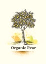 Organic Pear Tree Sign. Fresh Local Farm Fruit Artistic Illustration
