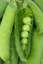 Organic peas Royalty Free Stock Photo