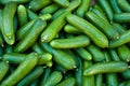 Organic Pickle Cucumbers Royalty Free Stock Photo