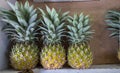 Organic pineapples in carton box sold on farmers market Royalty Free Stock Photo