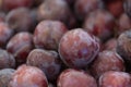 Organic Plums at a Farmers Market