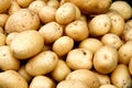Organic potato Royalty Free Stock Photo