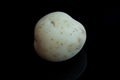 Organic potato on black background Royalty Free Stock Photo