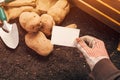 Organic potato farmer holding blank business card mock up Royalty Free Stock Photo