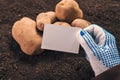 Organic potato farmer holding blank business card mock up Royalty Free Stock Photo