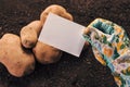 Organic potato farmer holding blank business card mock up Royalty Free Stock Photo