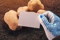 Organic potato farmer holding blank business card mock up Royalty Free Stock Photo