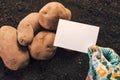 Organic potato farmer holding blank business card mock up Royalty Free Stock Photo