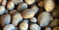 Organic potatoe, fresh, Royalty Free Stock Photo