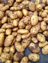 Organic potatoes at farmers market Royalty Free Stock Photo