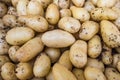 Organic potatoes at the food market Royalty Free Stock Photo