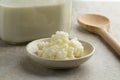 Organic probiotic milk kefir grains Royalty Free Stock Photo