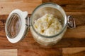 Organic Probiotic Milk kefir grains