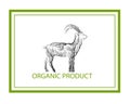 Organic product concept, goat like tree on white background, green eco product idea, eco production,