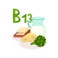 Organic products with vitamin B13 orotic acid . Butter, cheese, milk and greens. Healthy nutrition theme. Flat vector