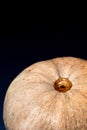 Organic pumpkin close up, low key dark photography, empty space for text