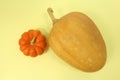 Organic Pumpkin Royalty Free Stock Photo