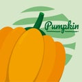 Organic pumpking vegetable