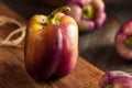Organic Purple Bell Peppers
