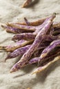 Organic Purple Dragon Tongue Beans Royalty Free Stock Photo