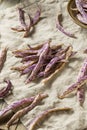 Organic Purple Dragon Tongue Beans Royalty Free Stock Photo