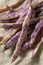 Organic Purple Dragon Tongue Beans Royalty Free Stock Photo