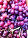 Organic purpple grapes