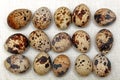 Organic Quail Eggs