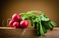 Organic radish Royalty Free Stock Photo