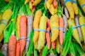 Organic rainbow carrots bunched in rubber bands at food store in America Royalty Free Stock Photo