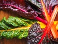 Organic Rainbow Chard Royalty Free Stock Photo