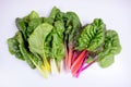 Organic rainbow chard: spray-free leafy greens in fan arrangement isolated on white Royalty Free Stock Photo