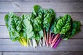 Organic rainbow chard: spray-free leafy greens in linear arrange Royalty Free Stock Photo