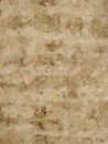 Tan textured cork wood background