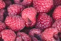 Organic rasberries for sale at a market