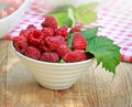 Organic raspberry Royalty Free Stock Photo