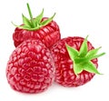 Organic raspberry isolated on white background Royalty Free Stock Photo