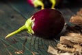Organic Raw Baby Indian Eggplants Royalty Free Stock Photo