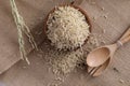 Organic raw brown rice in close up Royalty Free Stock Photo