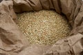 Organic raw buckwheat grains in a sack, buckwheat background