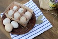 Organic raw chicken eggs in authentic egg box on old style wooden background Royalty Free Stock Photo