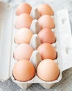 Organic raw chicken eggs in egg box Royalty Free Stock Photo