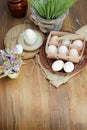 Organic raw chicken eggs in egg box on an old style wooden background Royalty Free Stock Photo