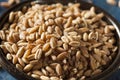 Organic Raw Farro Grain Royalty Free Stock Photo