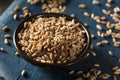 Organic Raw Farro Grain Royalty Free Stock Photo