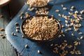 Organic Raw Farro Grain Royalty Free Stock Photo