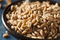 Organic Raw Farro Grain Royalty Free Stock Photo