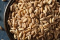 Organic Raw Farro Grain Royalty Free Stock Photo