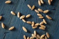 Organic Raw Farro Grain Royalty Free Stock Photo