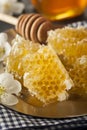 Organic Raw Golden Honey Comb